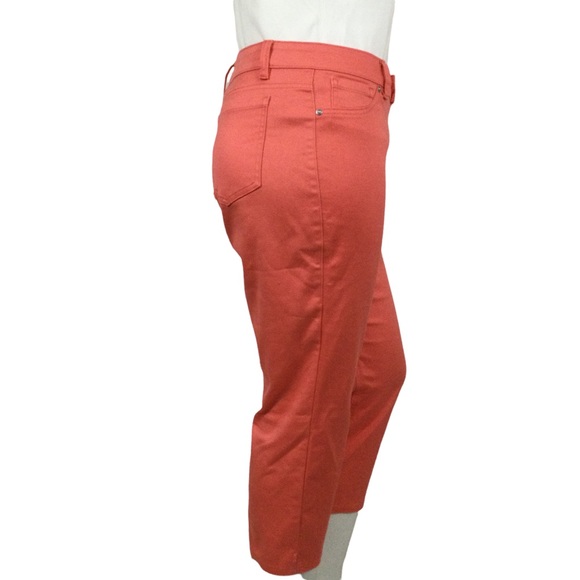 NYGARD Capri Denims with Fly Front back pockets Size 16 - Picture 3 of 10